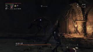 Bloodborne　新キャラ　血質キャラ　地底人