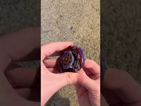 Remade from remnants, Remnant Hades BU beat build!