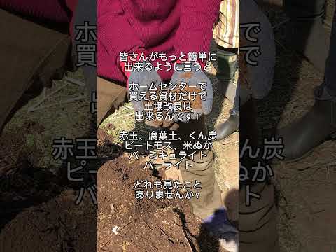 乾燥した石の多い土壌に適した植物: トップ 6 を見つけて庭を強化しましょう!  庭園