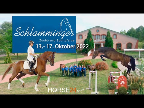 Trailer / 1. Online-Auktion Schlamminger Zucht- und Sportpferde / Horse24 Special Auction