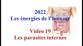 Les parasites internes de l'homme et nettoyage 