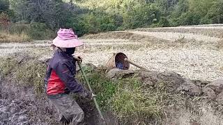 peb muab hoob liaj nawb