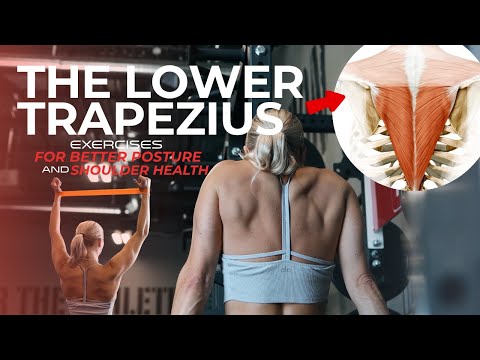 Lower Trap Exercises You’re NOT Doing — Stop Shoulder Pain & Strengthen This Key Muscle