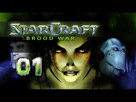 StarCraft: Broodwar [#01] - The World Is Still Not Right - Let's Play