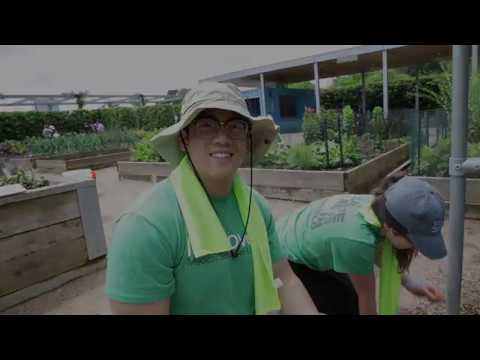 Med Students Pitch in at McGovern Centennial Gardens