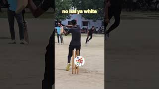Download lagu No hai ya wide mosaib Alam & Mahmood Khan #viralpost2024 #sportnews #cricketlovers #sports mp3