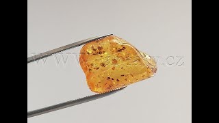 Baltský jantar P-13