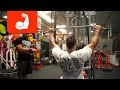 Pump and Flush | Day 2 Back & Bicep