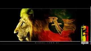 Mr Dill Lion Warriah - Roots Fanatics (Remix)