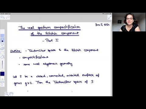 The Real Spectrum Compactification of the Hitchin Component - Part I (Xenia Flamm)