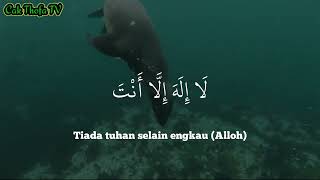 Download lagu LAILAHA ILLA ANTA _cocok buat pujian sebelum subuh mp3 Download lagu LAILAHA ILLA ANTA _cocok buat pujian sebelum subuh mp3