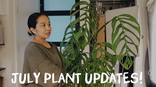 i'm back (i think?)! some fun plant updates from previous videos!