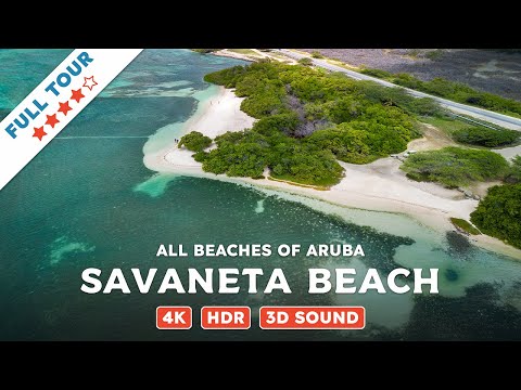 Savaneta Beach, Aruba — Beach Walking Videos of ALL Beaches of Aruba (4K, HDR, 3D Sound)