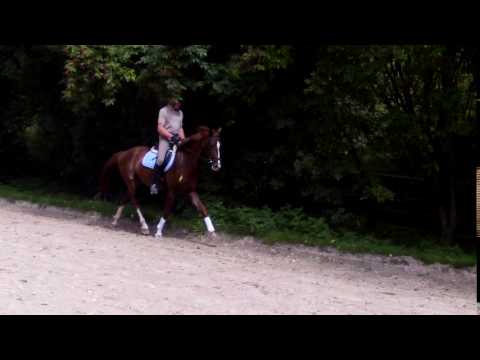 Leonardo von Livaldon