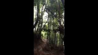 preview picture of video 'Bike Ride, Tama Hills, Chofu, Japan'