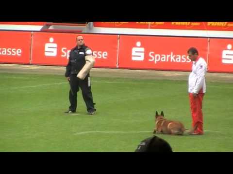 WK FMBB 2010 - Josef Haas - Protection - Grand Finale