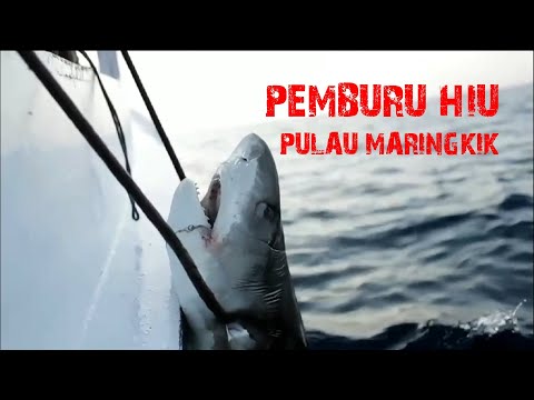 Pemburu Hiu dari Pulau Maringkek