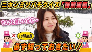 ニホンミツバチを捕まえるなら知っておきたい！強制捕獲の基礎知識10問！