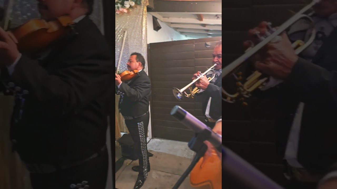 Promotional video thumbnail 2 for Mariachi Canciones De Mi Tierra