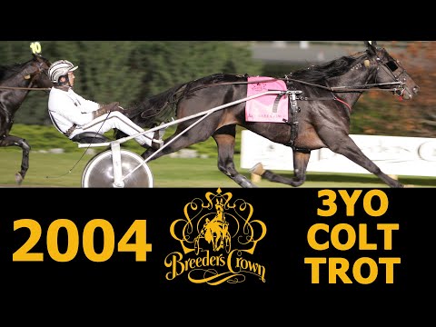 2004 Breeders Crown - Yankee Slide - 3YO Colt Trot