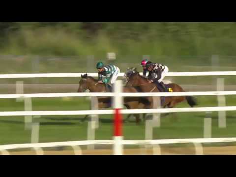 2017.06.19 Bloomers' Vase (SWE) - Icecapada