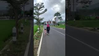 Download lagu di Salem Brebes , gak mau digandeng!hehe mp3