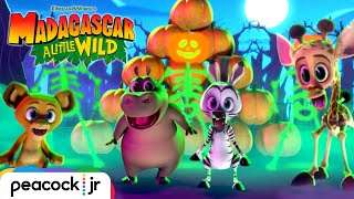 Madagascar: A Little Wild - A Fang-Tastic Halloween (2020) Video