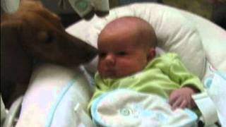 Itty Bitty Baby Girl...