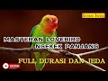 MASTERAN LOVEBIRD EKEK PANJANG FULL DURASI SUARA JERNIH DENGAN JEDA 2 3 MENIT