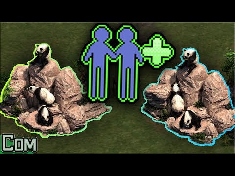 The Panda Rock Alliance