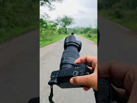 Sony A6400 18-135 lens photography 📸 #photography #sonyportrait #sonycamera #sony #trend #shorts