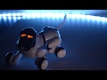 Gizmo The Smart Puppy