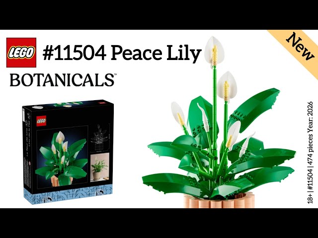 Vídeo relacionado con LEGO Botanicals Lirio de la Paz - Planta de Interior con Maceta Artificial - Decoración del Salón y Dormitorio - Maqueta para Adultos con Flor y Capullos Blancos - Idea de Regalo para Mujeres - 11504
