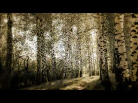 Rejhana Osmančević, Srdo moja