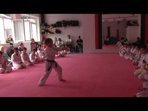 Taekwondo Prüfung Hyong Gino 1