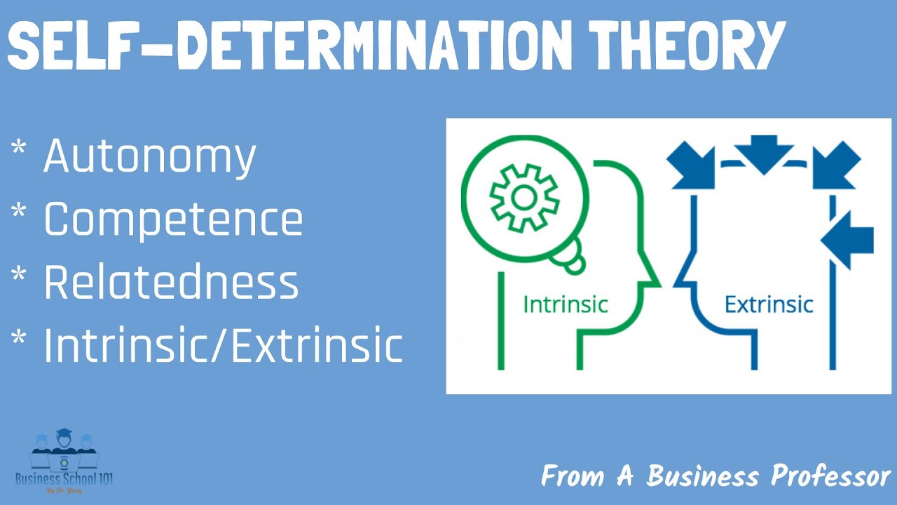 Self-Determination Theory | Organizational Behavior | From A Business Professor