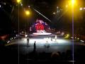 Circus Dog Jump HIGH
