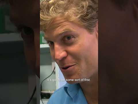 Penguin Struck by Paralysis Tick #penguin #tickseason #shorts