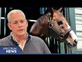 Could Into Mischief become the first stallion to sire four Kentucky Derby winners?