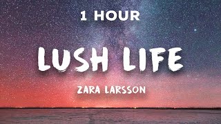 [1 Hour] Lush Life - Zara Larsson | 1 Hour Loop