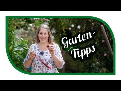 , title : 'Aussaat & Gartentipps im Juni 🍅 Hitzewelle 2019 💦 richtig  Mulchen und Wasser sparen'