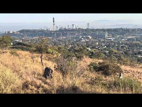 #zeeeeeemmmmmmyyyybrAa