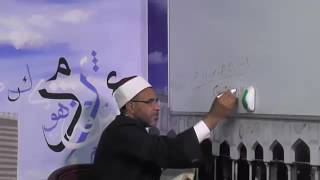 صورة شرح شذور الذهب / المحاضرة السادسة / (المعرب بعلامات فرعية ) ما جمع بألف وتاء والاسماء الستة / 006