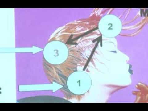 Inteligjenca Emocionale pjesa parë  - I -