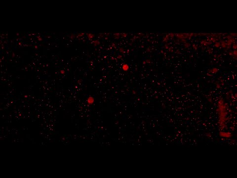 Robot Orchestra - Ljubljana