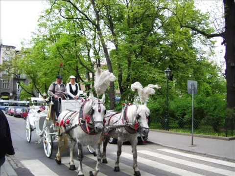 3-ci Maja w Krakowie ! - "Tango krakowskie"