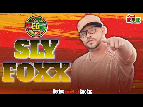 SELEÇÃO DE PEDRAS SLY FOXX - SÓ PEDRAS DE QUALIDADE