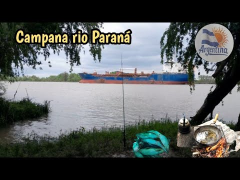 ESTE LUGAR DE CAMPANA ESTA LLENO DE PECES #PESCA