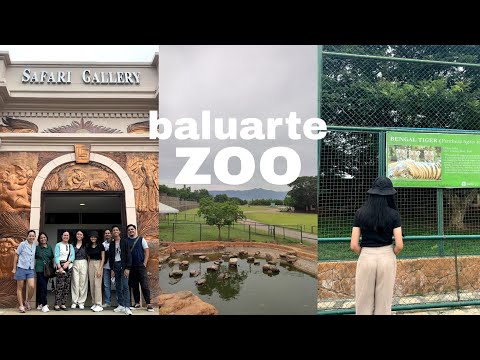 summer diaries: a zootiful day! 🦁