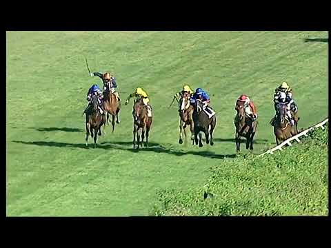 Napoli Galoppo 08/02/2022 - 2ª corsa